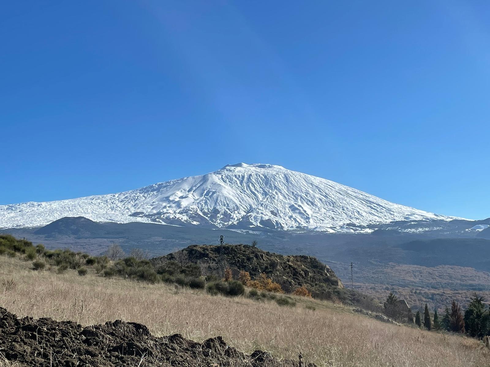 Uliveto su suolo vulcanico Etna